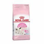 Royal Canin Mother & Baby Cat 1.5 Kg