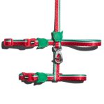 Zeecat Lola Cat Harness + Leash Set