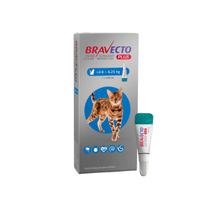 Bravecto Plus para gatos hasta 6,25 kg